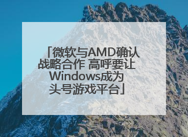 微软与AMD确认战略合作 高呼要让Windows成为头号游戏平台