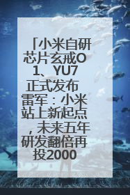小米自研芯片玄戒O1、YU7正式发布 雷军：小米站上新起点，未来五年研发翻倍再投2000亿元