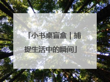 小书桌盲盒｜捕捉生活中的瞬间