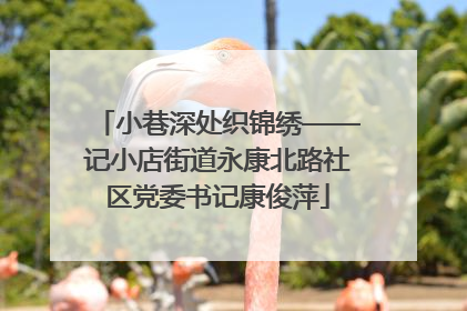 小巷深处织锦绣——记小店街道永康北路社区党委书记康俊萍