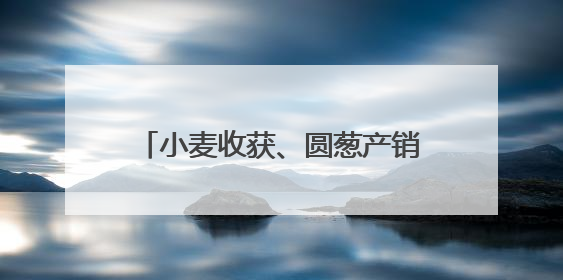 小麦收获、圆葱产销旺、水稻长势好……乡村处处是“丰”景