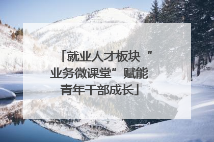 就业人才板块“业务微课堂”赋能青年干部成长