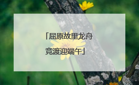 屈原故里龙舟竞渡迎端午