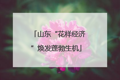 山东“花样经济”焕发蓬勃生机