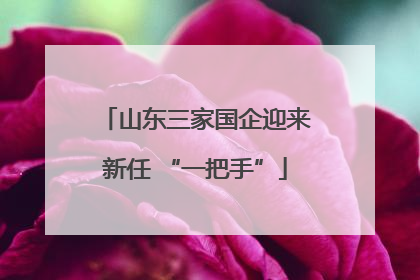 山东三家国企迎来新任 “一把手”