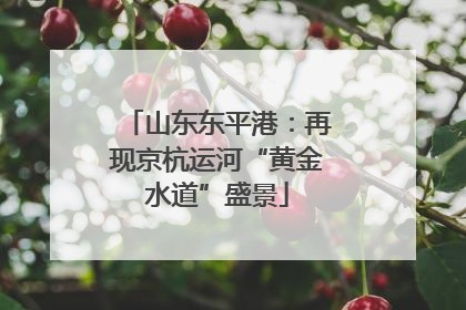 山东东平港：再现京杭运河“黄金水道”盛景