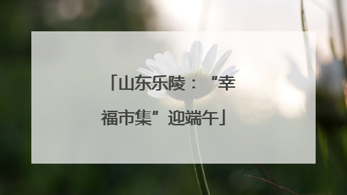 山东乐陵：“幸福市集”迎端午