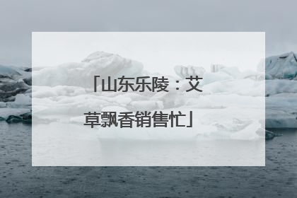 山东乐陵：艾草飘香销售忙