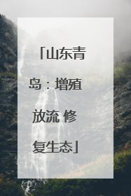 山东青岛：增殖放流 修复生态