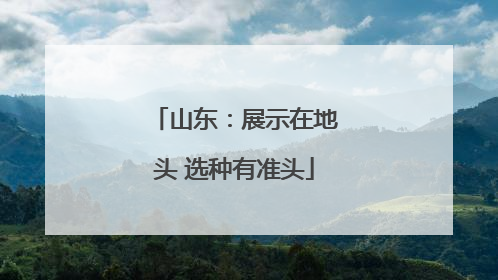 山东：展示在地头 选种有准头