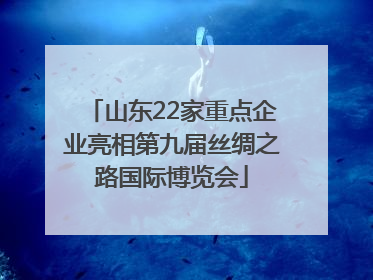 山东22家重点企业亮相第九届丝绸之路国际博览会