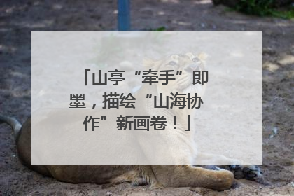 山亭“牵手”即墨，描绘“山海协作”新画卷！