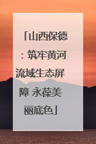 山西保德：筑牢黄河流域生态屏障 永葆美丽底色