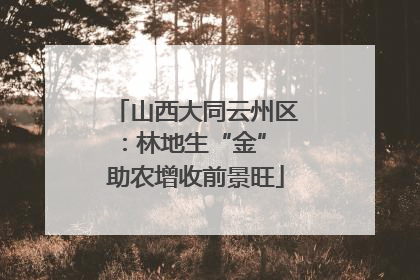 山西大同云州区：林地生“金” 助农增收前景旺
