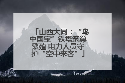 山西大同：“鸟中国宝”铁塔筑巢繁殖 电力人员守护“空中来客”