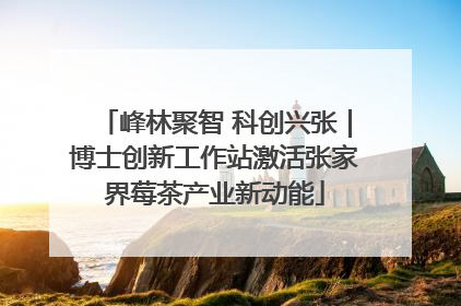 峰林聚智 科创兴张｜博士创新工作站激活张家界莓茶产业新动能