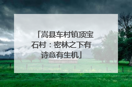 嵩县车村镇顶宝石村：密林之下有诗意有生机