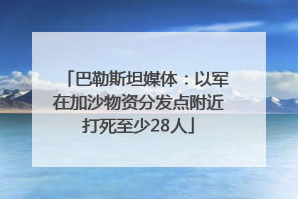 巴勒斯坦媒体：以军在加沙物资分发点附近打死至少28人