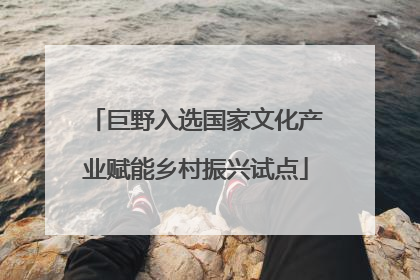 巨野入选国家文化产业赋能乡村振兴试点