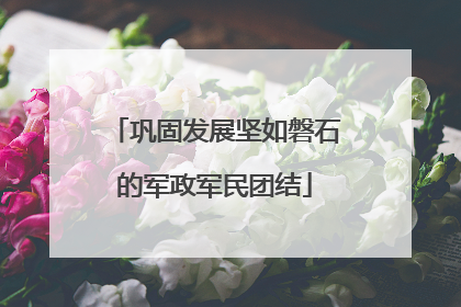 巩固发展坚如磐石的军政军民团结