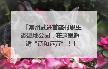 常州武进首座村级生态湿地公园，在这里邂逅“诗和远方”！