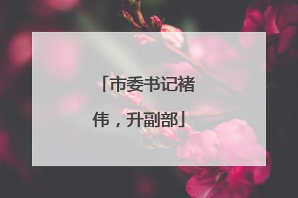 市委书记褚伟，升副部