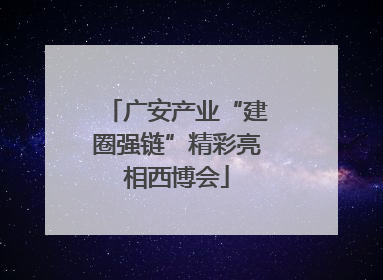 广安产业“建圈强链”精彩亮相西博会