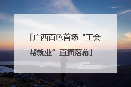 广西百色首场“工会帮就业”直播落幕