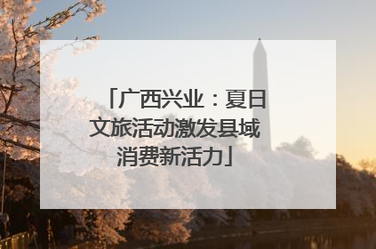 广西兴业：夏日文旅活动激发县域消费新活力