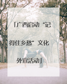 广西启动“记得住乡愁”文化外宣活动