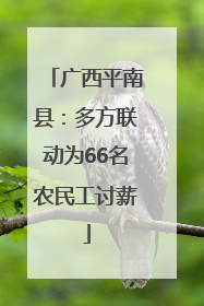广西平南县：多方联动为66名农民工讨薪