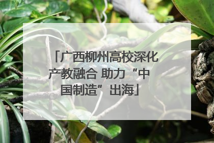 广西柳州高校深化产教融合 助力“中国制造”出海