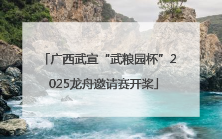 广西武宣“武粮园杯”2025龙舟邀请赛开桨