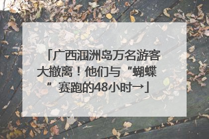 广西涠洲岛万名游客大撤离！他们与“蝴蝶”赛跑的48小时→