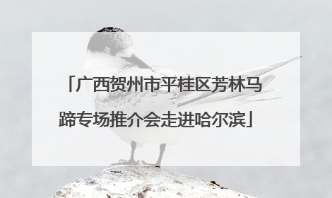 广西贺州市平桂区芳林马蹄专场推介会走进哈尔滨