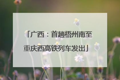广西：首趟梧州南至重庆西高铁列车发出