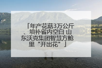 年产花菇3万公斤、填补省内空白 山东沃克集团智慧方舱里“开出花”