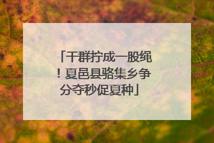 干群拧成一股绳！夏邑县骆集乡争分夺秒促夏种