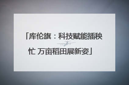 库伦旗：科技赋能插秧忙 万亩稻田展新姿