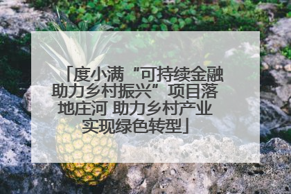 度小满“可持续金融助力乡村振兴”项目落地庄河 助力乡村产业实现绿色转型