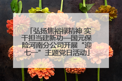 弘扬焦裕禄精神 实干担当建新功—国元保险河南分公司开展“迎七一”主题党日活动