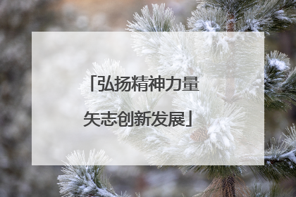 弘扬精神力量 矢志创新发展