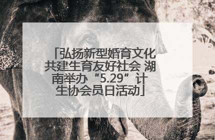 弘扬新型婚育文化 共建生育友好社会 湖南举办“5.29”计生协会员日活动