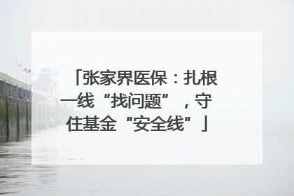 张家界医保：扎根一线“找问题”，守住基金“安全线”