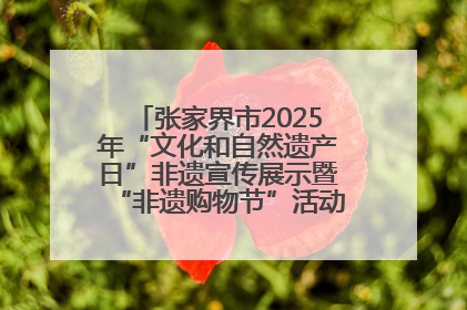 张家界市2025年“文化和自然遗产日”非遗宣传展示暨“非遗购物节”活动在慈利县盛大启幕