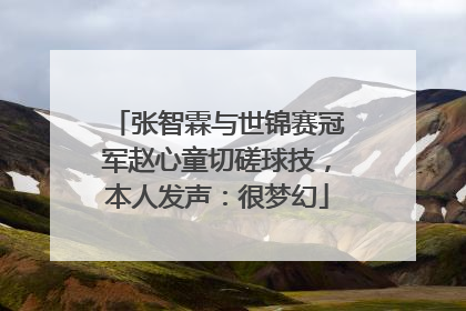张智霖与世锦赛冠军赵心童切磋球技，本人发声：很梦幻