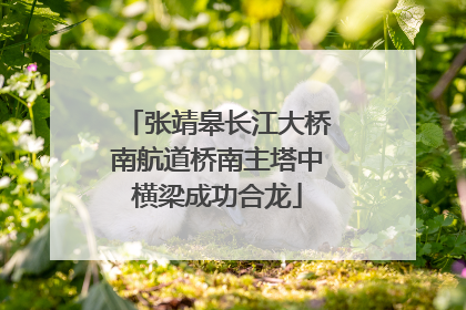 张靖皋长江大桥南航道桥南主塔中横梁成功合龙