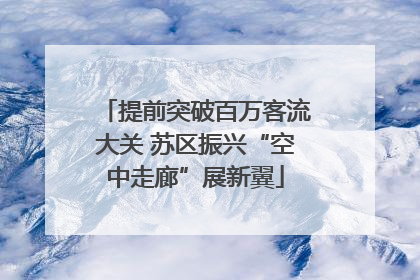 提前突破百万客流大关 苏区振兴“空中走廊”展新翼