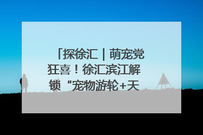 探徐汇｜萌宠党狂喜！徐汇滨江解锁“宠物游轮+天台乐园”双玩法