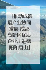 推动成德眉产业协同发展 成都高新区优质企业走进德阳和眉山